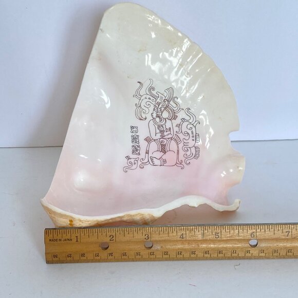 Mayan Image and Glyphs MesoAmerican Carved Queen Conch Shell Mexico - Picture 5 of 7
